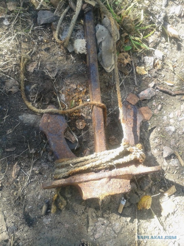 Пить или не пить. Вот в чем вопрос.