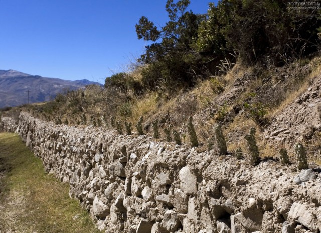 Перу: путешествие в ущелье Colca