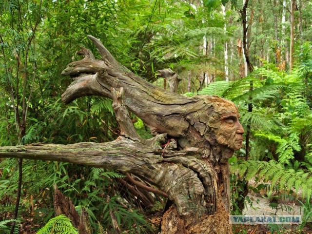 28 самых удачных кадров февраля