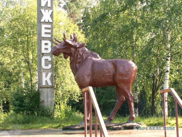 Не разошлись с лосем.