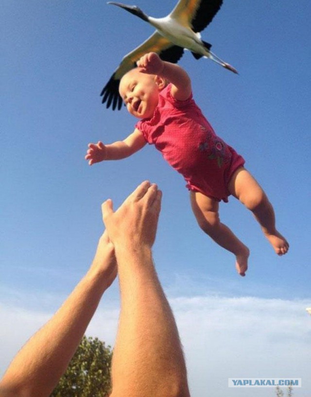 Фотки из интернета.