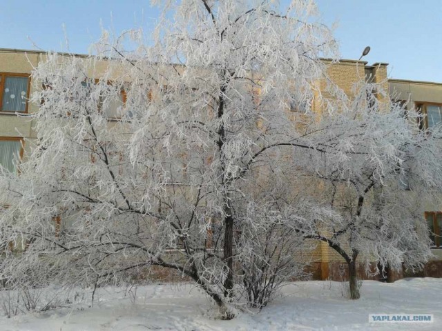 Для скучающих по снегу