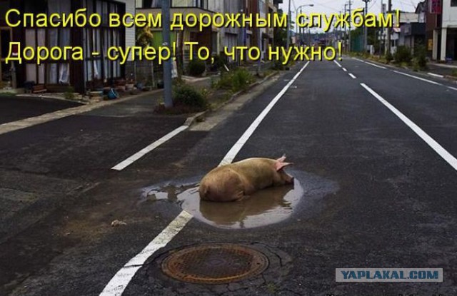 Подборка картинок