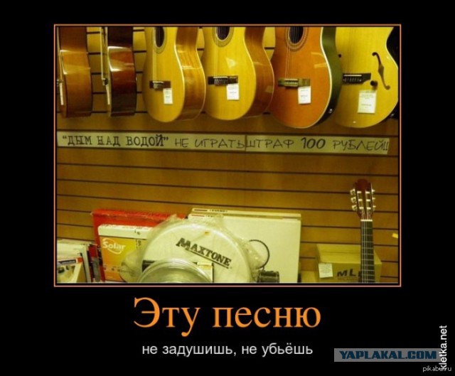 Когда все пьют и закусывают, а ты за рулём...