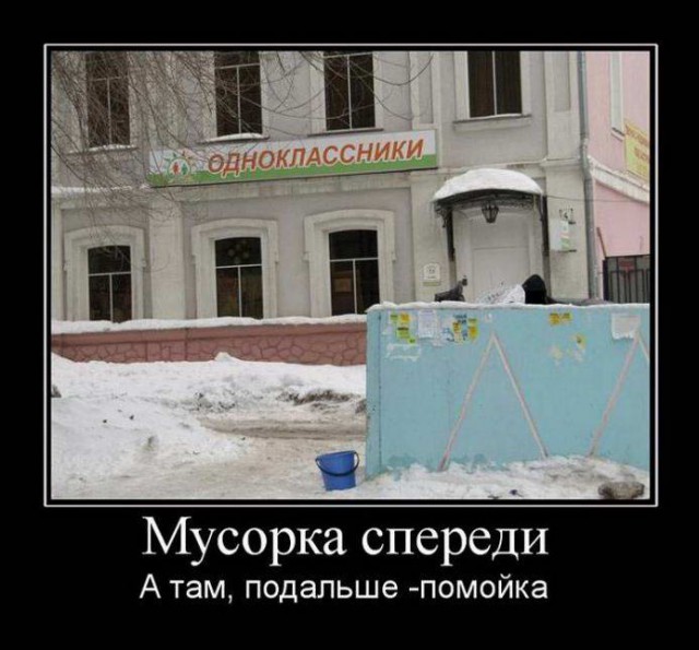Прикольные картинки и демотиваторы