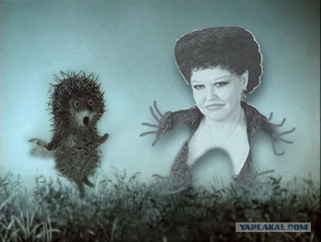 Фотожабы на кандибобер
