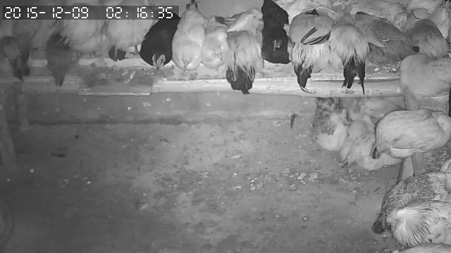 За что я люблю китайцев