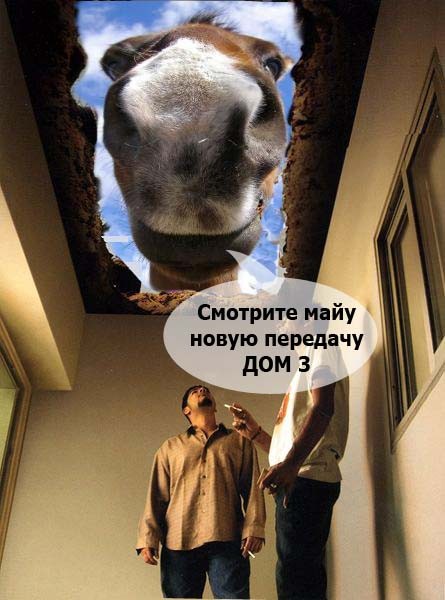 Жаба : борьба с курением