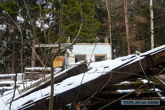Артек, "ужасы" российской действительности