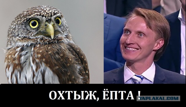 Лицо дня с прямой линии