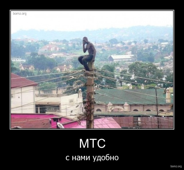 Картинки из сети