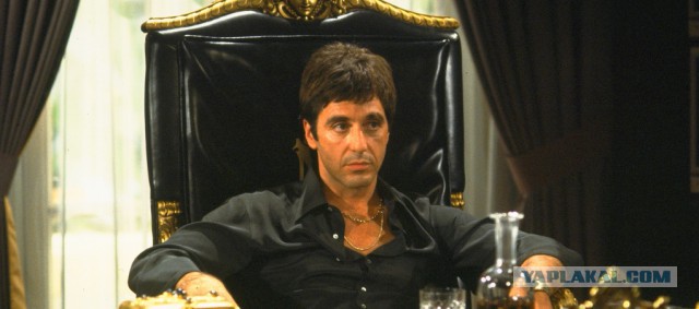 Парни, которые нашли работу мечты