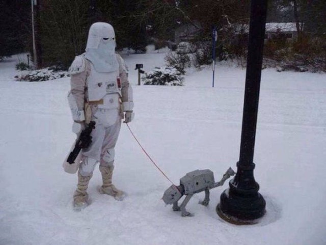 Фотки всякие разные на пятницу...