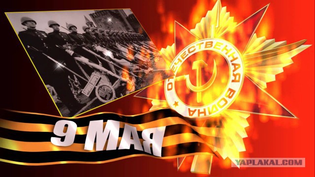 Нет фашисткой гадине