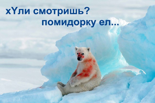 Забавные картинки