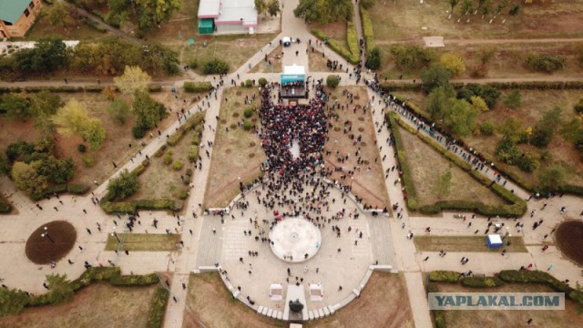 Цирк приехал