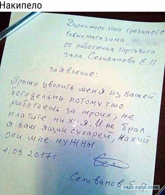 Забавные шутки, фразы и комментарии из этих ваших интернетов