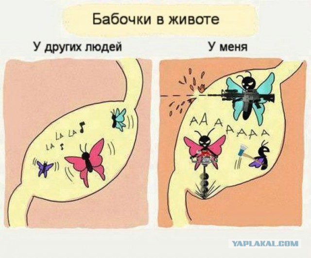 Вот это дефлопе: студентка заказала обед за 600 долларов, и вот что ей принесли