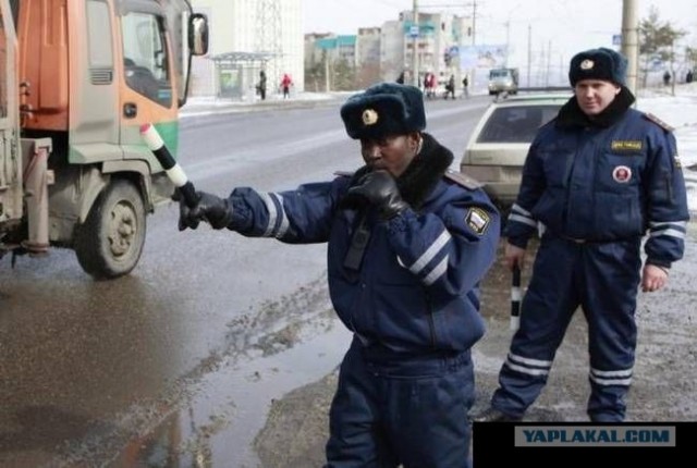 Пошутила