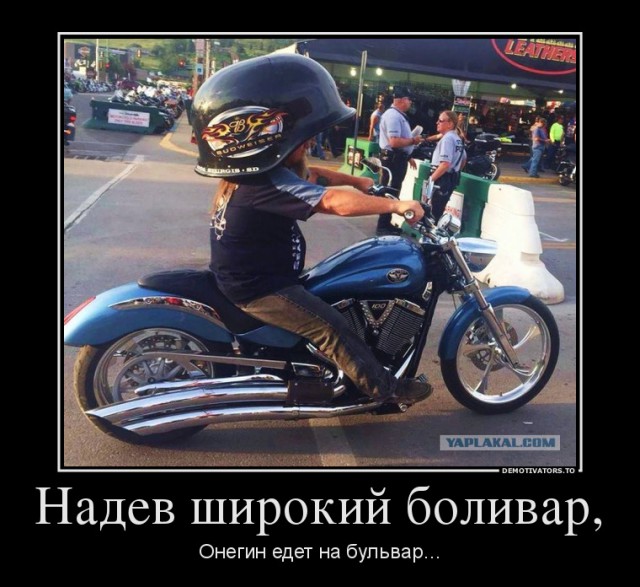 Подборка забавных картинок