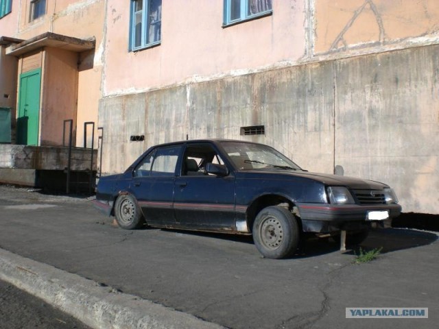 Подснежники гробы. г. Норильск