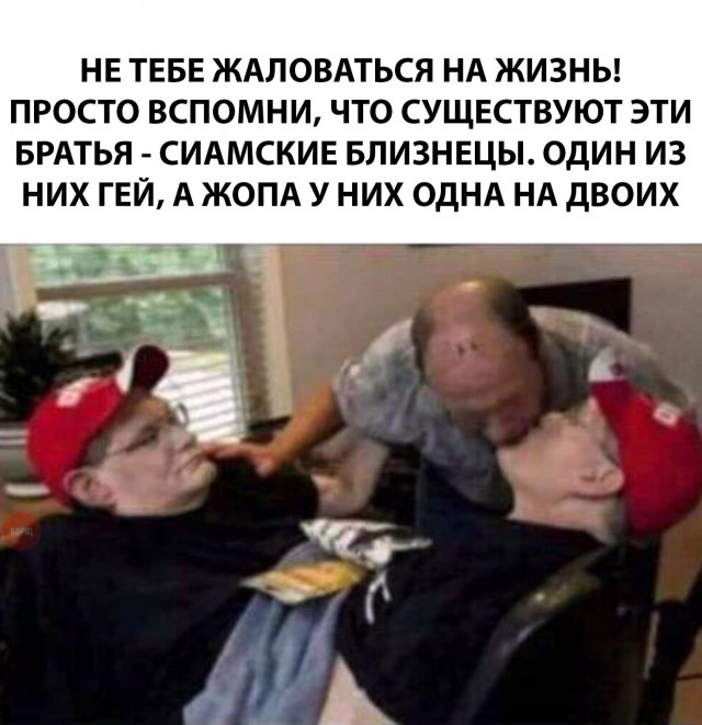 Прикольные картинки абавсём