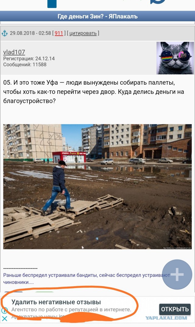 Где деньги Зин?