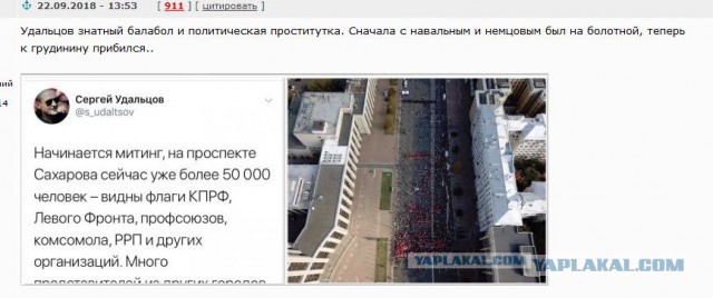 Полиция насчитала 3 тыс. человек на акции против пенсионной реформы в Москве