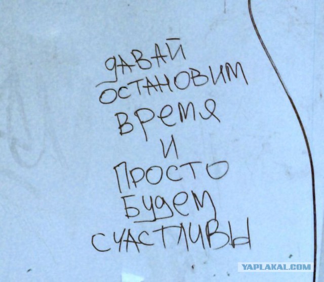 «Бродячие» философы: 17 глубокомысленных заметок в транспорте и на улицах