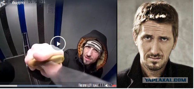 Быдло. Разбил камеру в лифте
