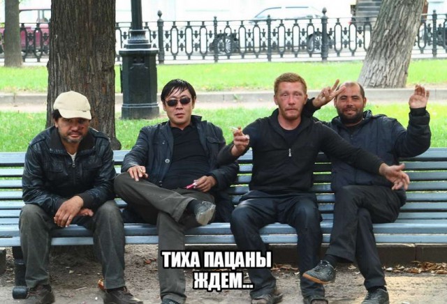 Скотсети и прочие интернеты 25.04.2019