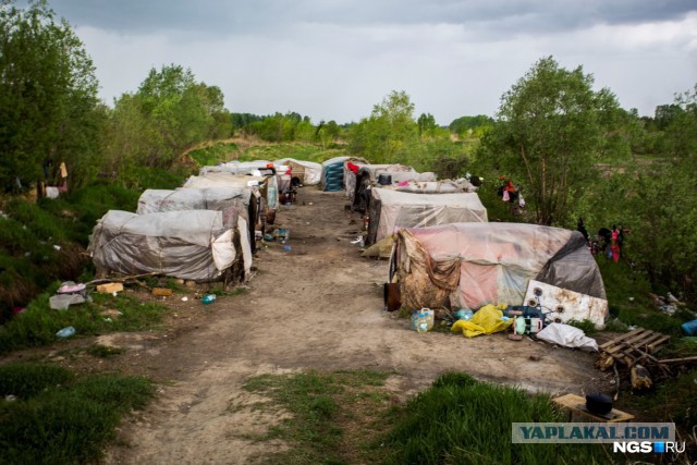 В Новосибирской области обнаружен палаточный городок мигрантов