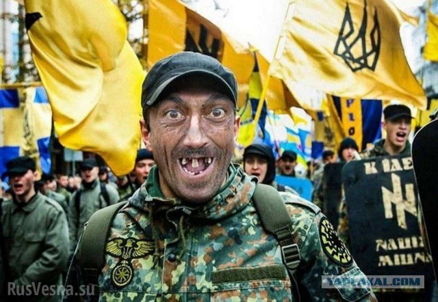 Немецкий журналист: Всю жизнь нас пугают злым русским Иваном, а он всё не нападает!