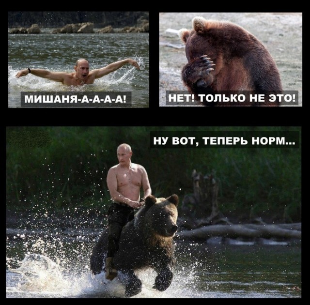 Путин и Шойгу насобирали грибов в тайге