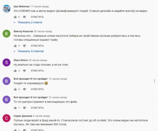 Волчья стая идет в Казахстан со стороны России