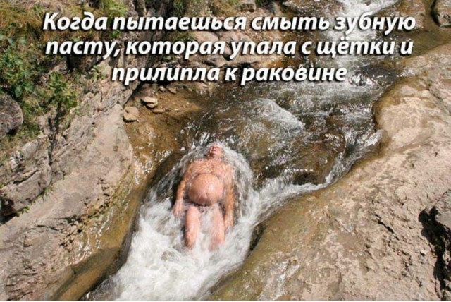 Перлы 08.06.20.