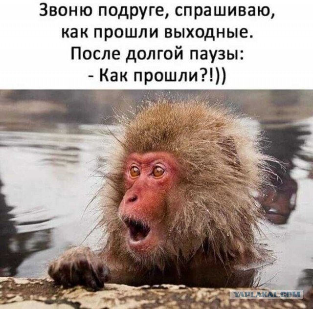 Картинки и буквы