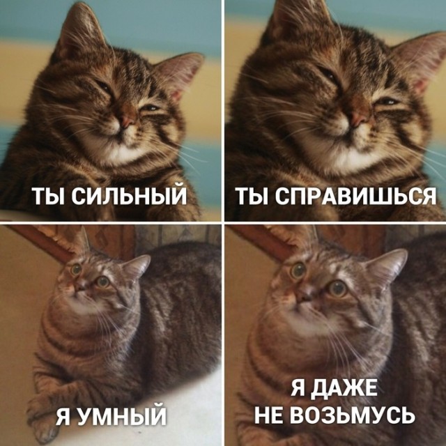 Так себе картинки 30.07.21
