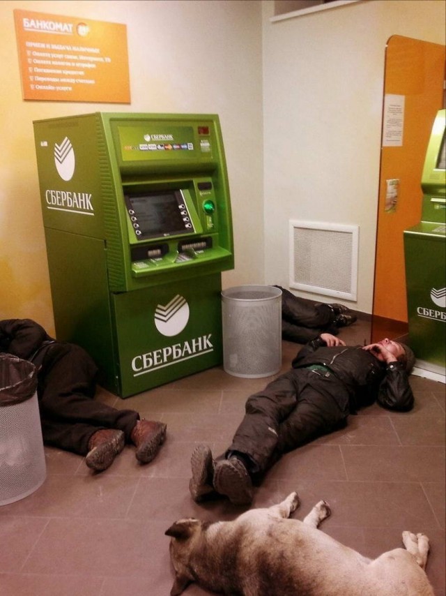 Скотсети и прочие интернеты 05.08.2021