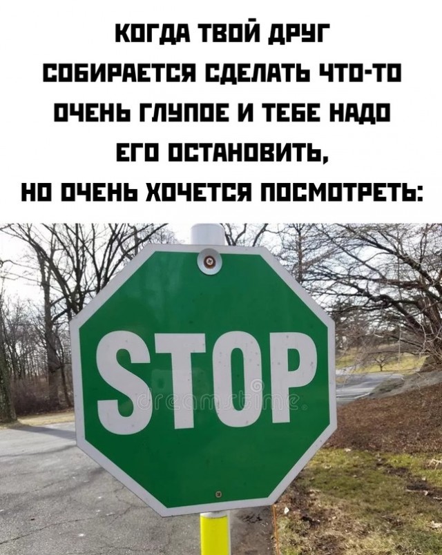 Весёлый полтишок 31.08