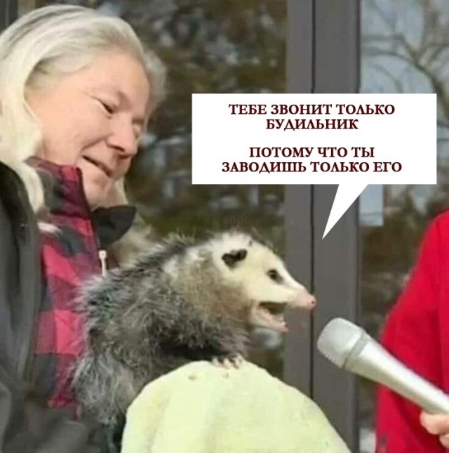 Здесь будет Петербург