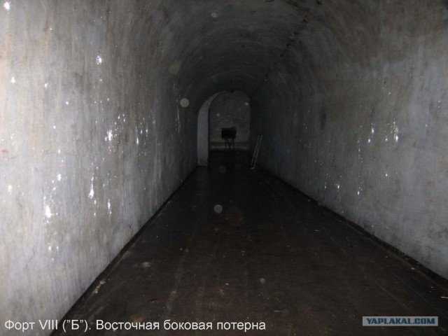 Форты Бреста
