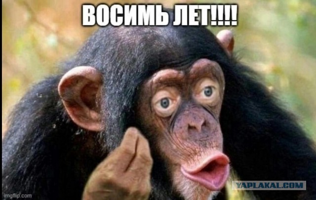 В Минобороны РФ опровергли заявления офиса Зеленского о «массовых убийствах» в Буче
