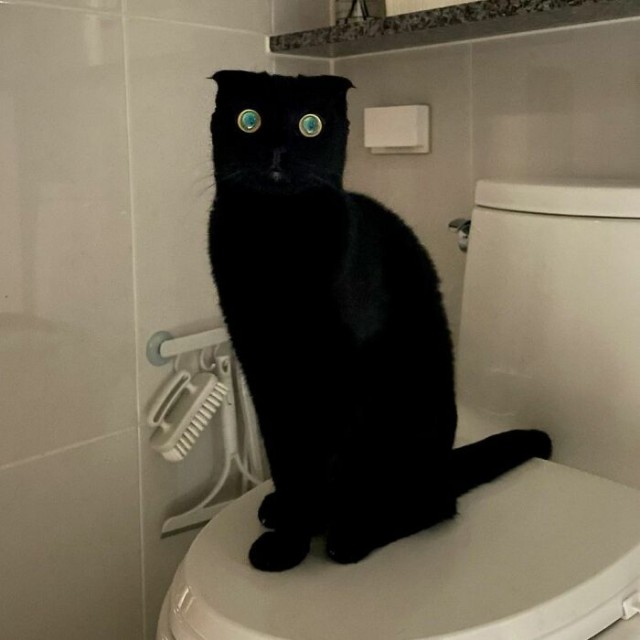 Знакомьтесь, это Грязь!