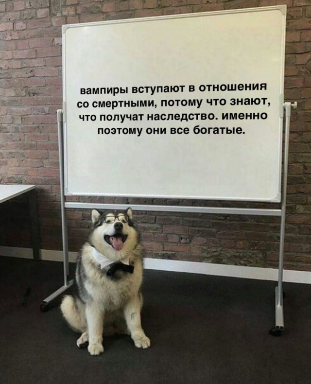 Картинки аморальные и всякие разные - 30