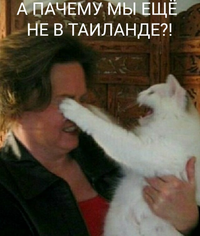 В Таиланде разрешили выращивать марихуану и коноплю в неограниченном количестве