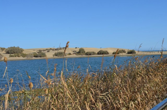 Как я катался на велике