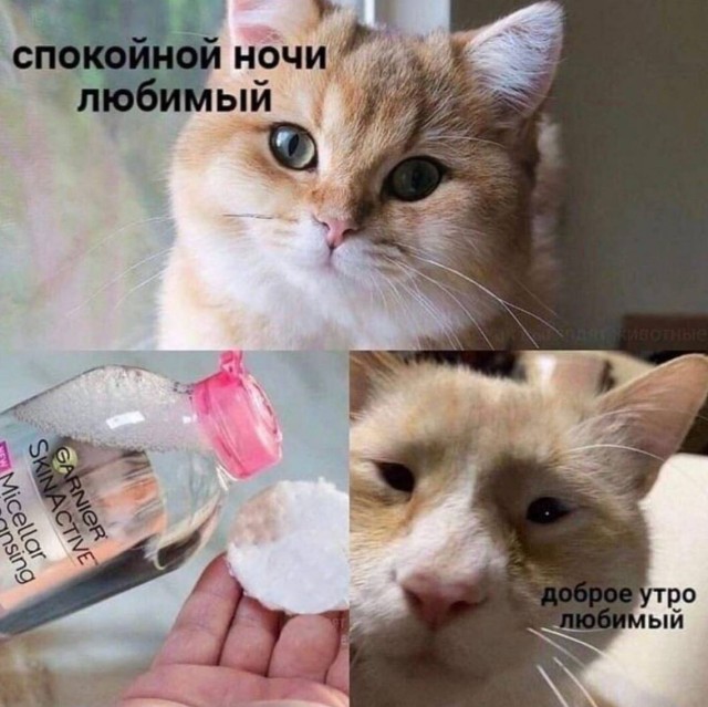 Картинки и мемы для настроения. Выходные скоро