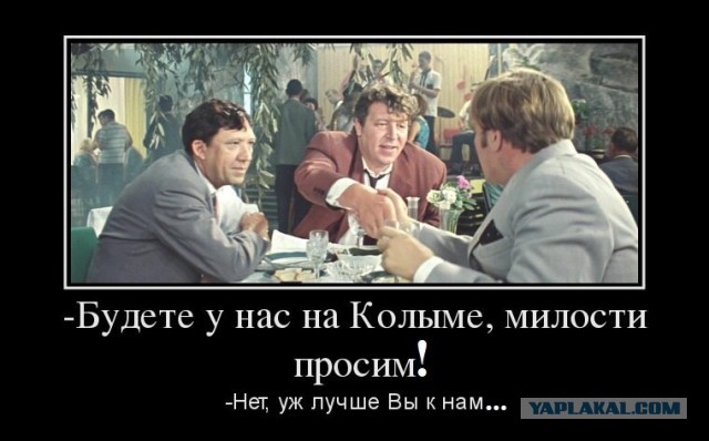 28 интересных фактов о комарах