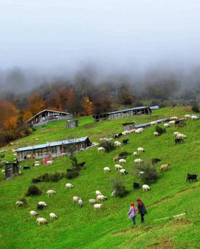 Красоты Ирана